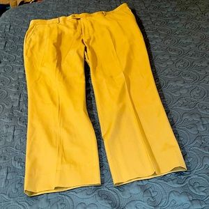 Beige Men’s Woolmark dress pants, Pure New Wool, size:46 men’s, Greg Peters